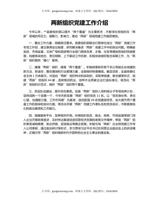 两新组织党建工作介绍