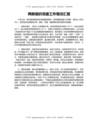 两新组织党建工作情况汇报