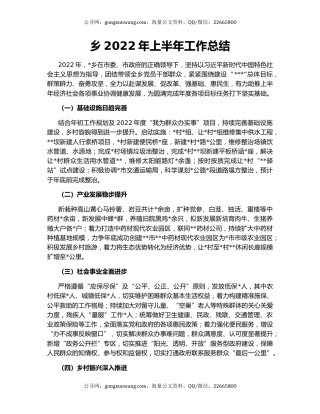 乡2022年上半年工作总结(6)
