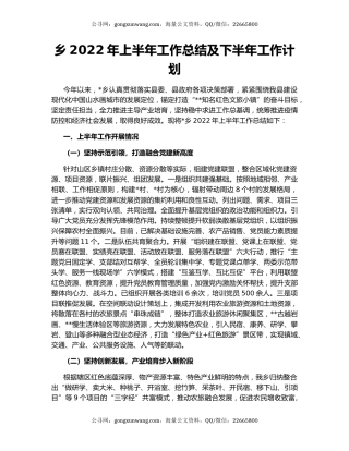 乡2022年上半年工作总结及下半年工作计划（3）
