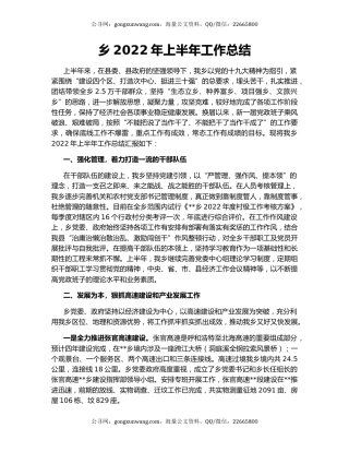 乡2022年上半年工作总结（3）