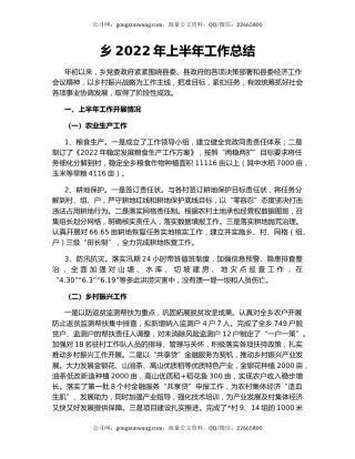 乡2022年上半年工作总结（4）