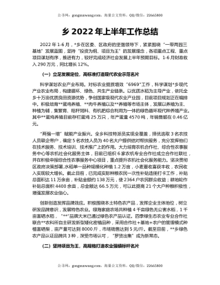 乡2022年上半年工作总结（5）