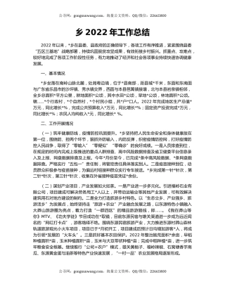 乡2022年工作总结