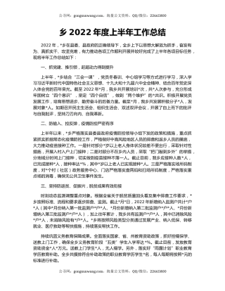 乡2022年度上半年工作总结