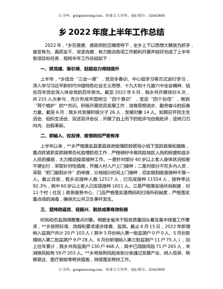乡2022年度上半年工作总结（2）