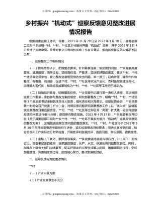 乡村振兴“机动式”巡察反馈意见整改进展情况报告