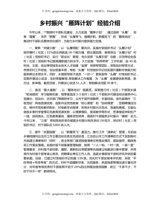 乡村振兴“雁阵计划”经验介绍