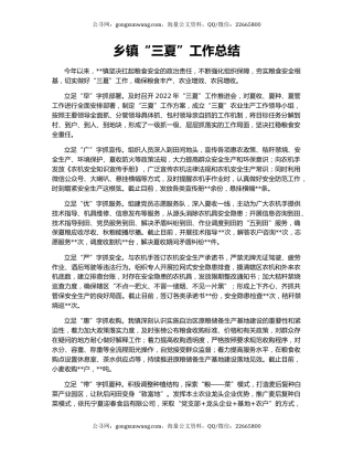 乡镇“三夏”工作总结