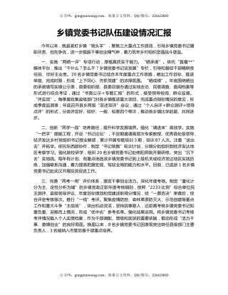 乡镇党委书记队伍建设情况汇报