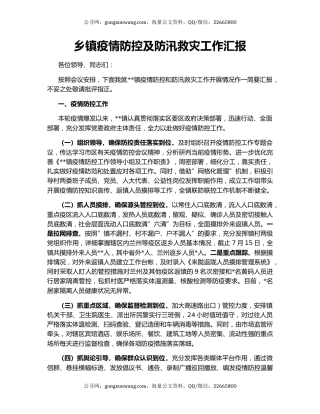 乡镇疫情防控及防汛救灾工作汇报