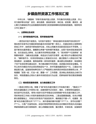 乡镇自然资源工作情况汇报