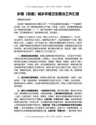 乡镇（街道）城乡环境卫生整治工作汇报
