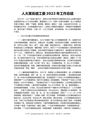 人大某街道工委2022年工作总结