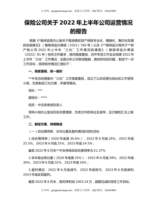 保险公司关于2022年上半年公司运营情况的报告