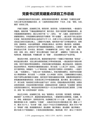 党委书记抓党建重点项目工作总结