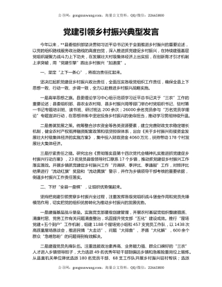 党建引领乡村振兴典型发言