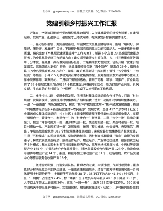 党建引领乡村振兴工作汇报（2）