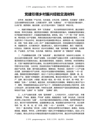 党建引领乡村振兴经验交流材料（3）