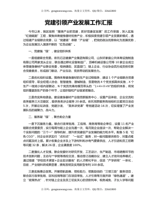 党建引领产业发展工作汇报（2）