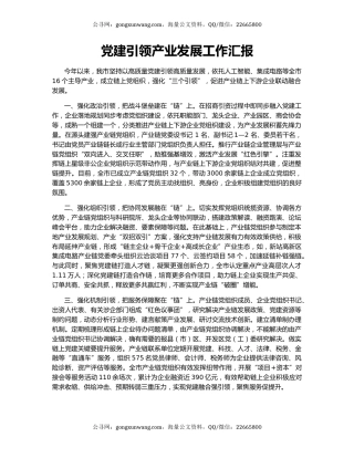 党建引领产业发展工作汇报（3）