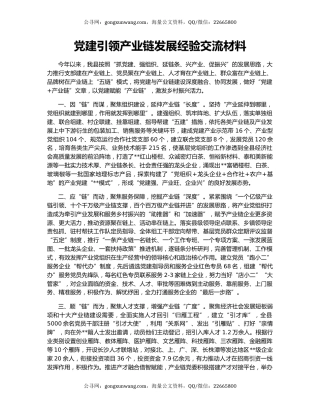 党建引领产业链发展经验交流材料