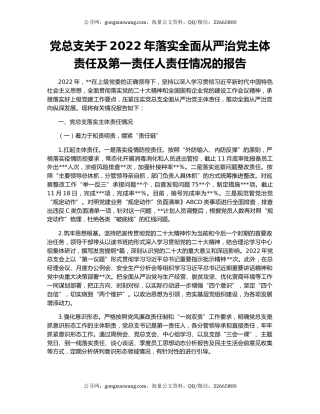 党总支关于2022年落实全面从严治党主体责任及第一责任人责任情况的报告