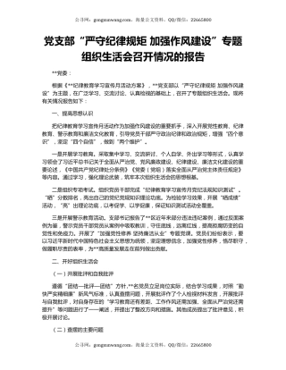 党支部“严守纪律规矩 加强作风建设”专题组织生活会召开情况的报告
