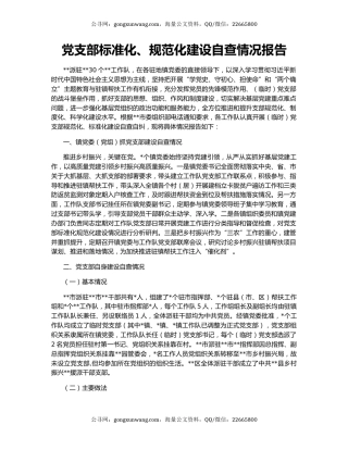 党支部标准化、规范化建设自查情况报告