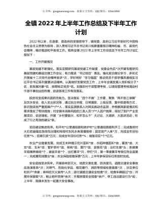 全镇2022年上半年工作总结及下半年工作计划