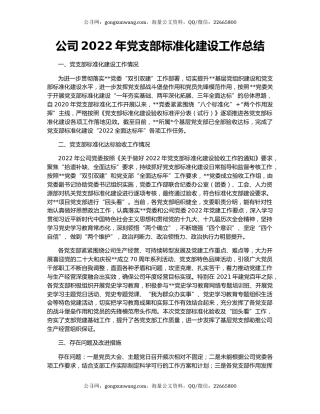 公司2022年党支部标准化建设工作总结
