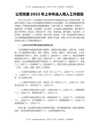 公司党委2022年上半年选人用人工作报告