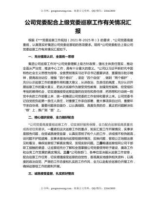 公司党委配合上级党委巡察工作有关情况汇报