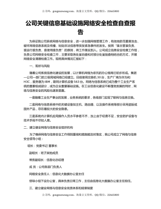 公司关键信息基础设施网络安全检查自查报告