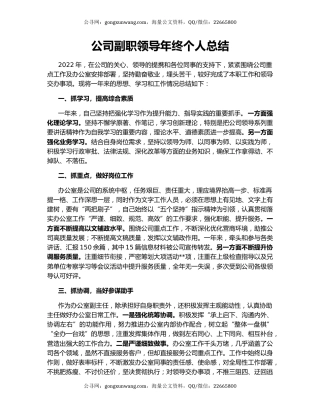 公司副职领导年终个人总结