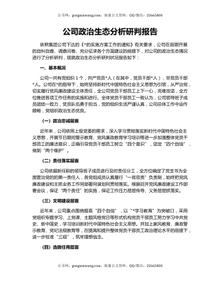 公司政治生态分析研判报告