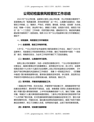 公司纪检监察风险管控工作总结