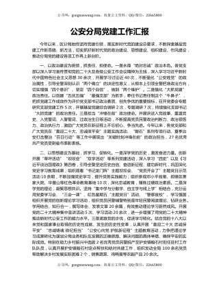 公安分局党建工作汇报