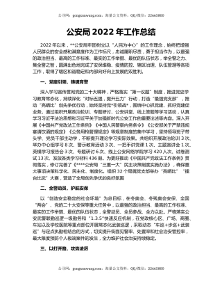 公安局2022年工作总结