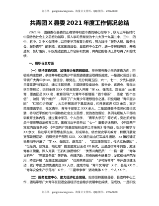 共青团X县委2021年度工作情况总结
