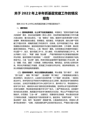 关于2022年上半年抓基层党建工作的情况报告
