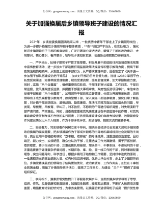 关于加强换届后乡镇领导班子建设的情况汇报