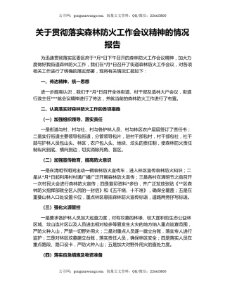关于贯彻落实森林防火工作会议精神的情况报告