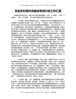 农业农村局作风建设专项行动工作汇报