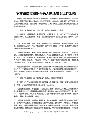 农村基层党组织带头人队伍建设工作汇报