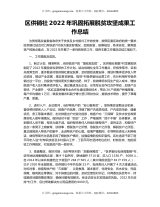 区供销社2022年巩固拓展脱贫攻坚成果工作总结