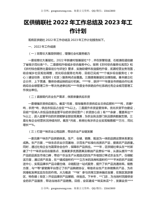 区供销联社2022年工作总结及2023年工作计划