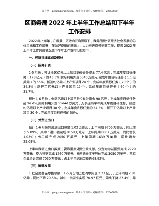 区商务局2022年上半年工作总结和下半年工作安排（2）