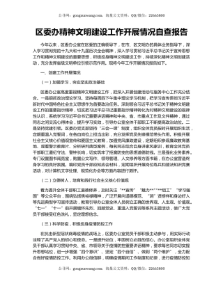 区委办精神文明建设工作开展情况自查报告