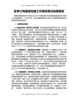 区审计局基层党建工作落实情况自查报告